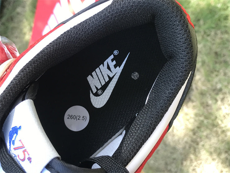 NBA x Nike Dunk Low EMB “Chicago”