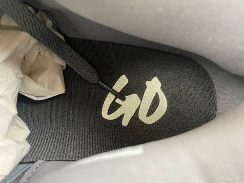 Nigel Sylvester x Air Jordan 4